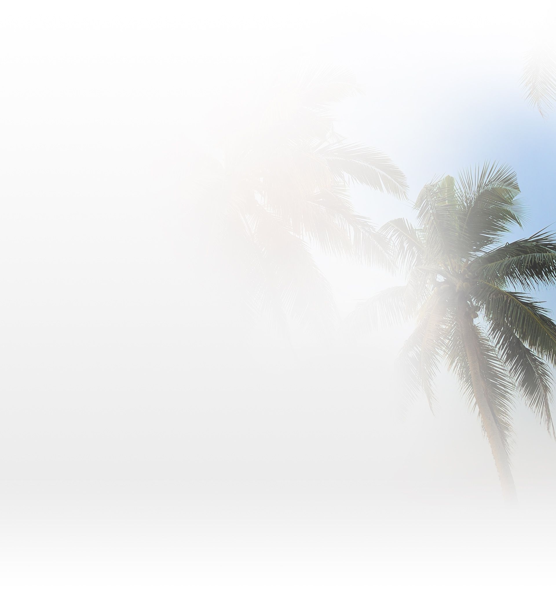 Palmer, Rodak & Associates Oceanside, CA Office