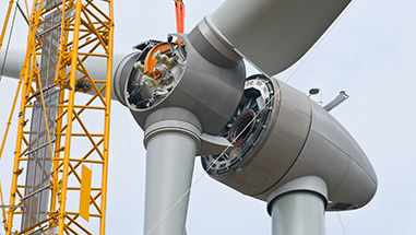 Lazarus Karp Ehrlich McCourt, LLP New York City,  Office