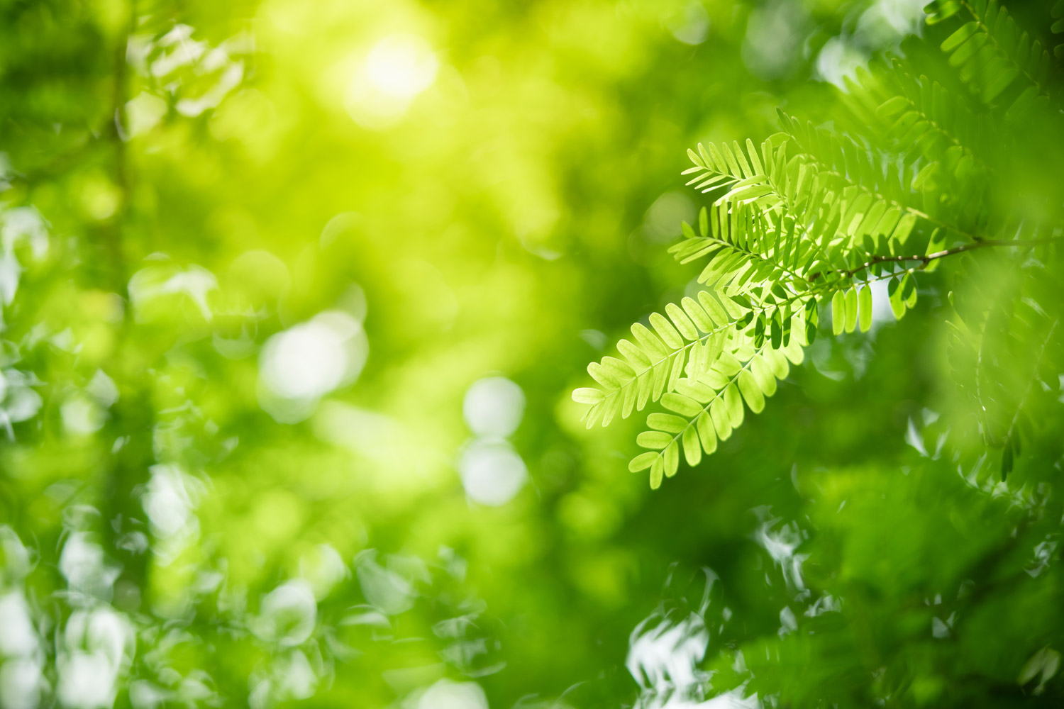 Warners Solicitors Tonbridge, UK-England Office