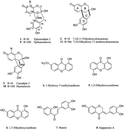 Dentons Harbin, China Office