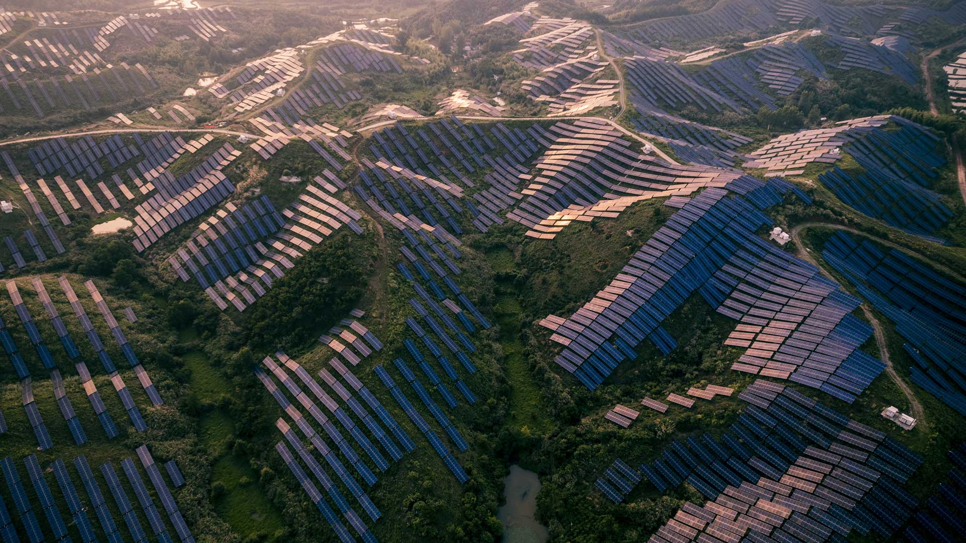 Withers Italy, United States Office