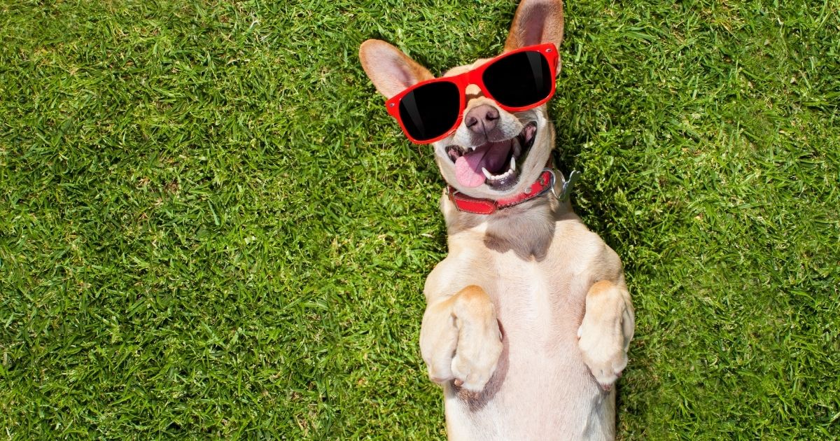 Morneau Law Nashua,  Office