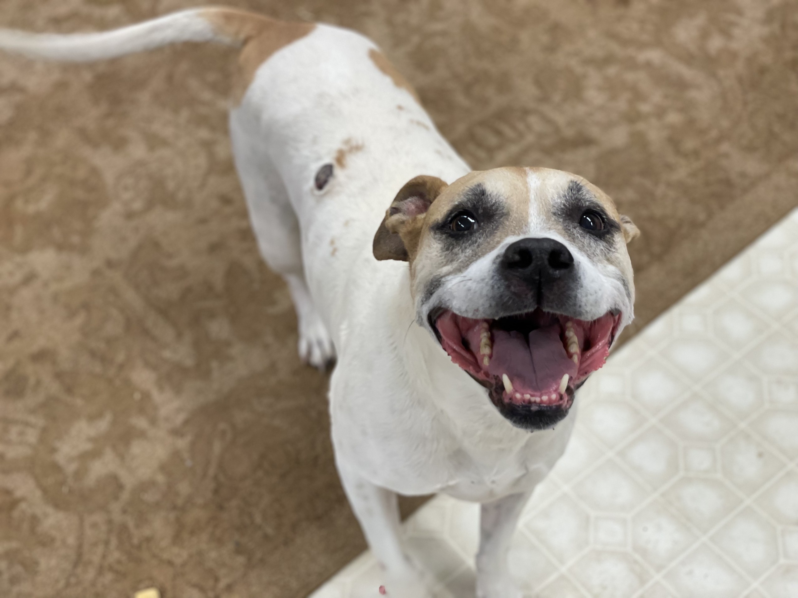 Auger & Auger Charlotte, NC Office