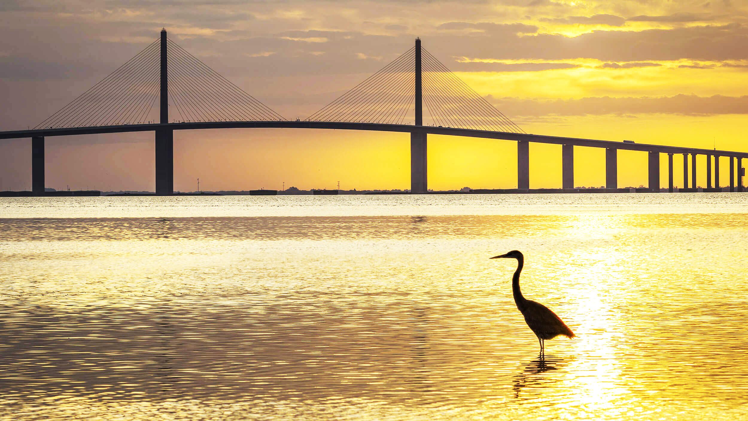 SAIBLE LAW GROUP, P.A Saint Petersburg,  Office