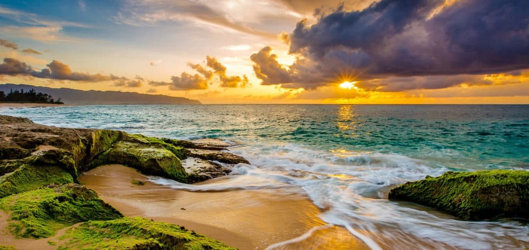 Clay Iwamura Pulice & Nervell Honolulu, HI Office