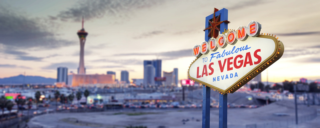 Harper Selim Las Vegas,  Office