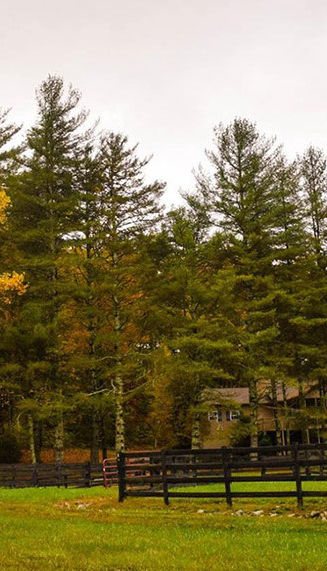 Miyares & Harrington, LLP Watertown, MA Office