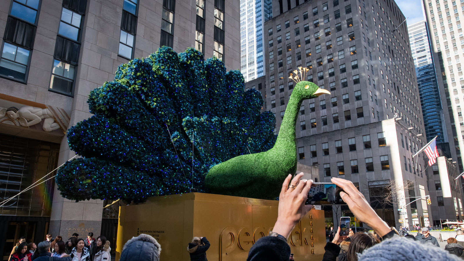 Peacock Law P.C New York City, NY Office