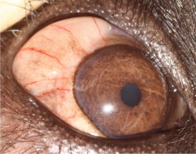 Musca Law Apple Valley, MN Office