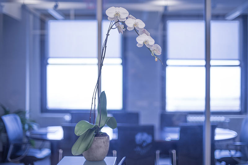 Littleton Park Joyce Ughetta & Kelly Llp New York City, NY Office