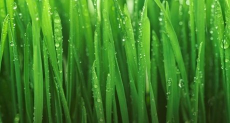 Ansell Grimm & Aaron, PC Newtown, PA Office