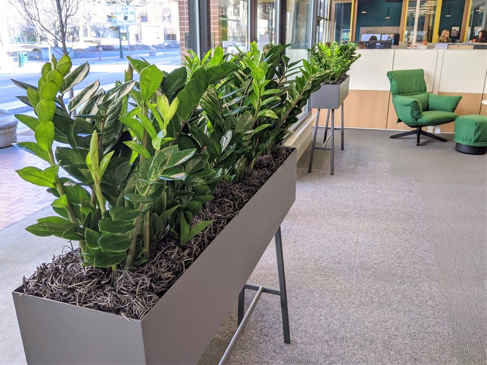 Thornton Byron LLP Boise, ID Office