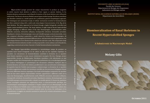 HSP  Association davocats Brussels, Belgium Office