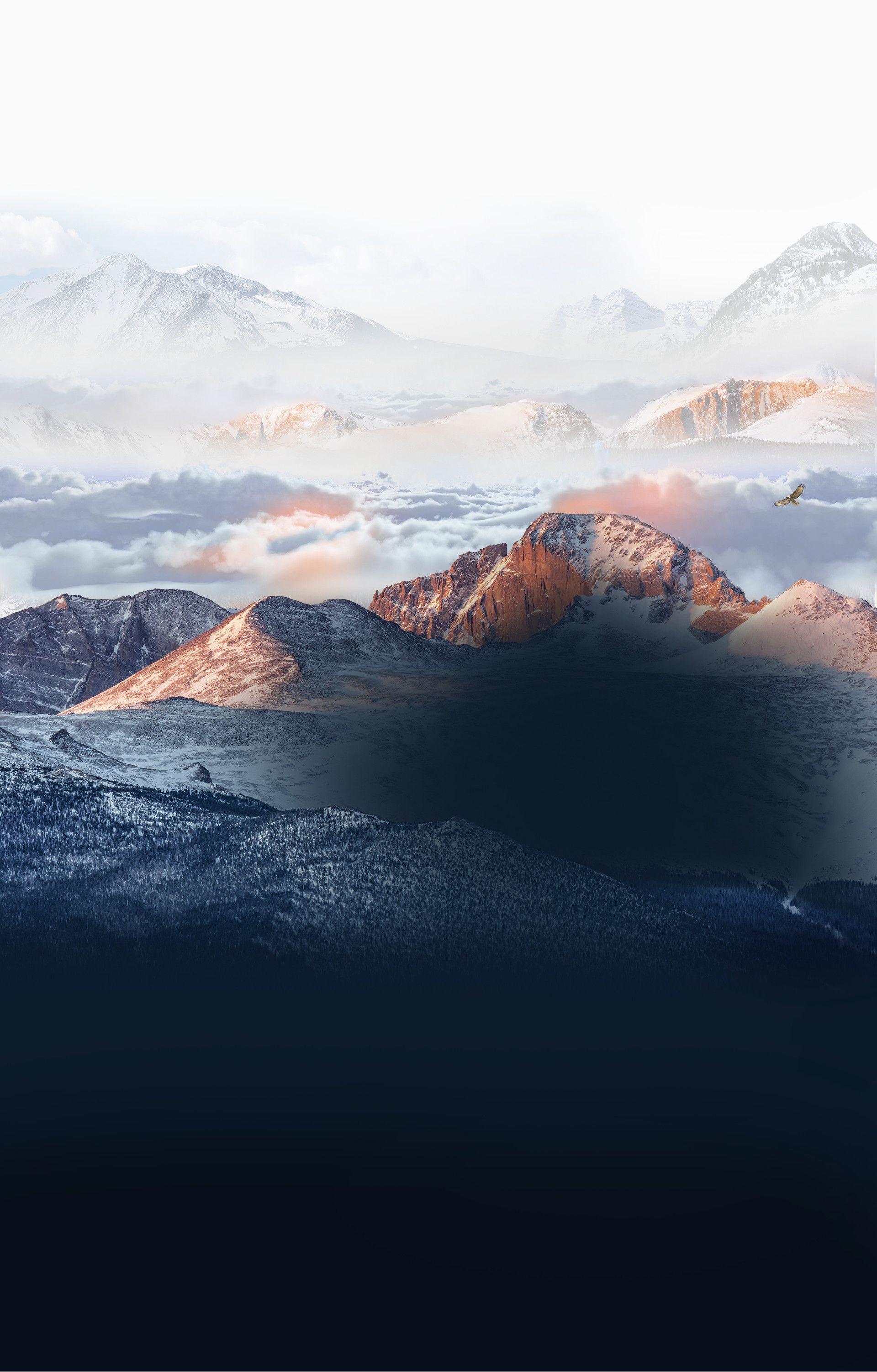 Gaddis, Kin, Herd & Craw P.C Colorado Springs, CO Office