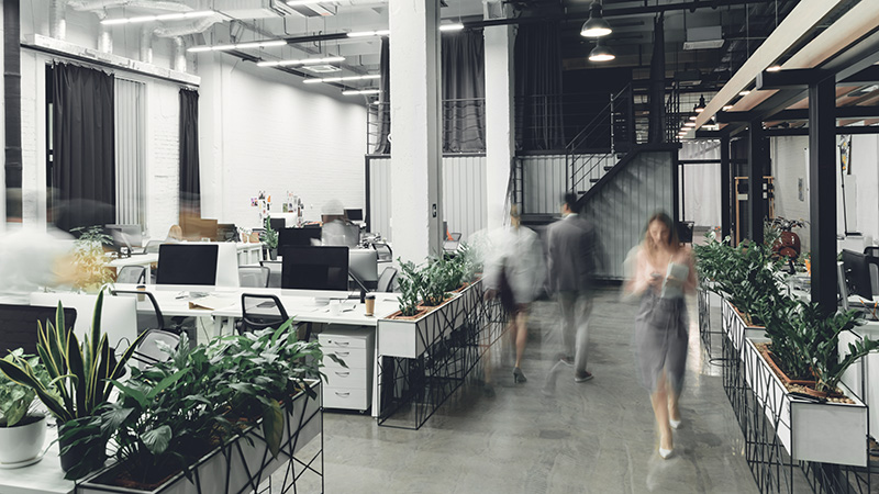 Castren & Snellman Attorneys Ltd Saint Petersburg, Russia Office