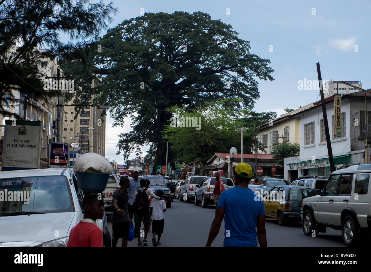 Yada Williams & Associates Freetown, Sierra Leone Office