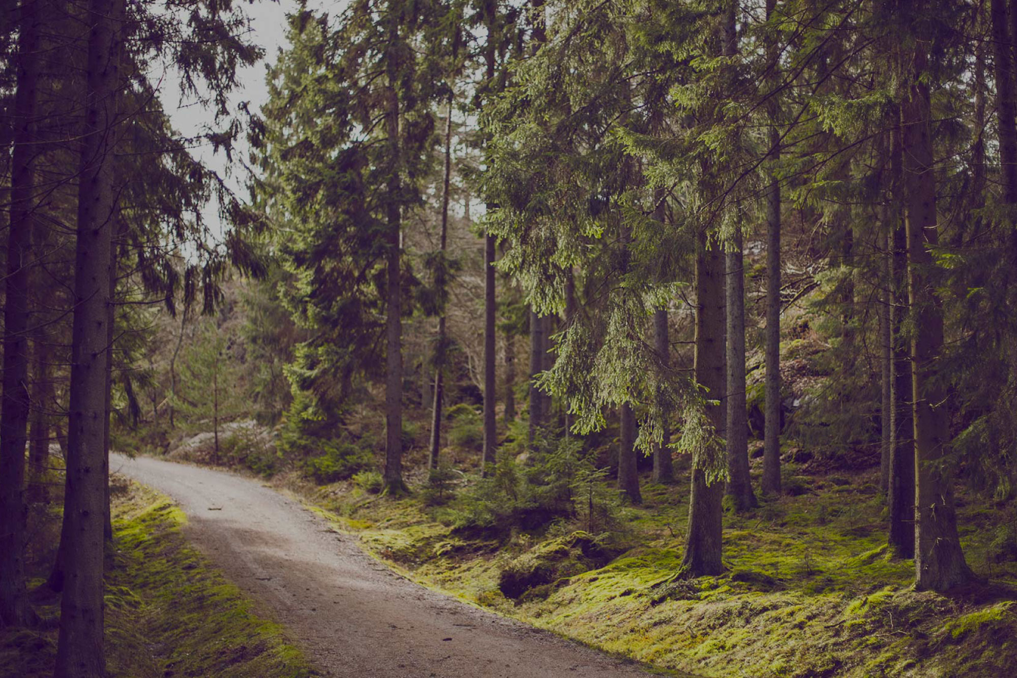 Vial Fotheringham LLP Lakewood, CO Office