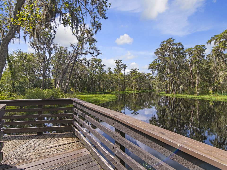 Diaz Family Law Firm Mount Dora,  Office