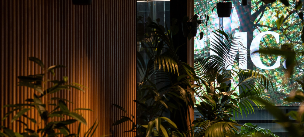 Meredith Connell Auckland, New Zealand Office