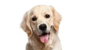 Pure Employment Law Chichester, United Kingdom Office