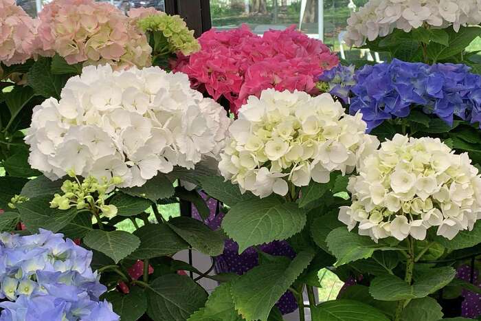 Nedder & Associates, LLC New York City, NY Office