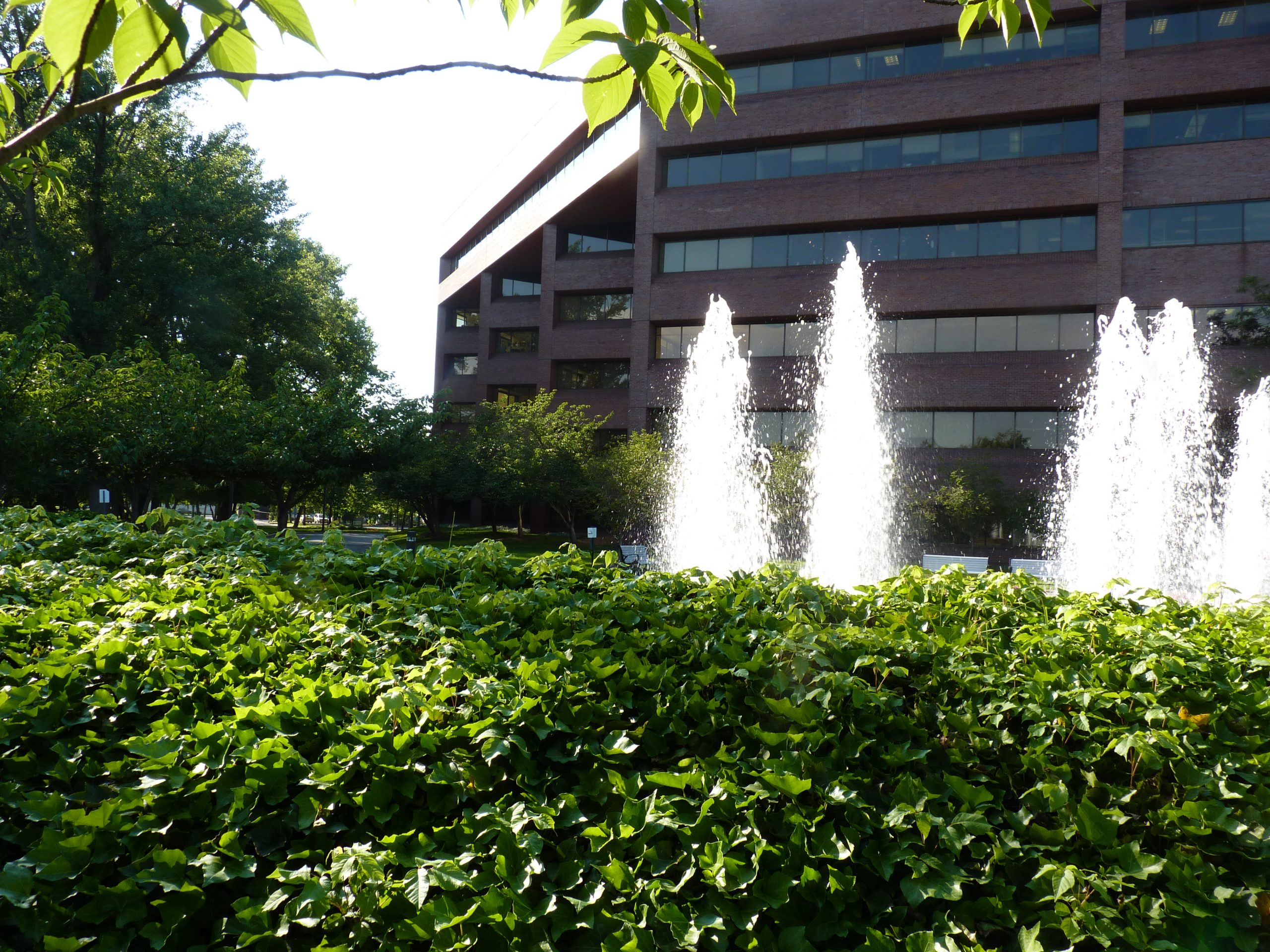 Goldman Davis Krumholz & Dillon, P.C Jersey City, NJ Office