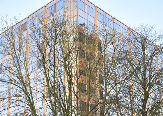 Steptoe LLP Brussels, Belgium Office