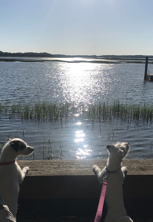 Finger, Melnick & Brooks, P.A Hilton Head Island, SC Office