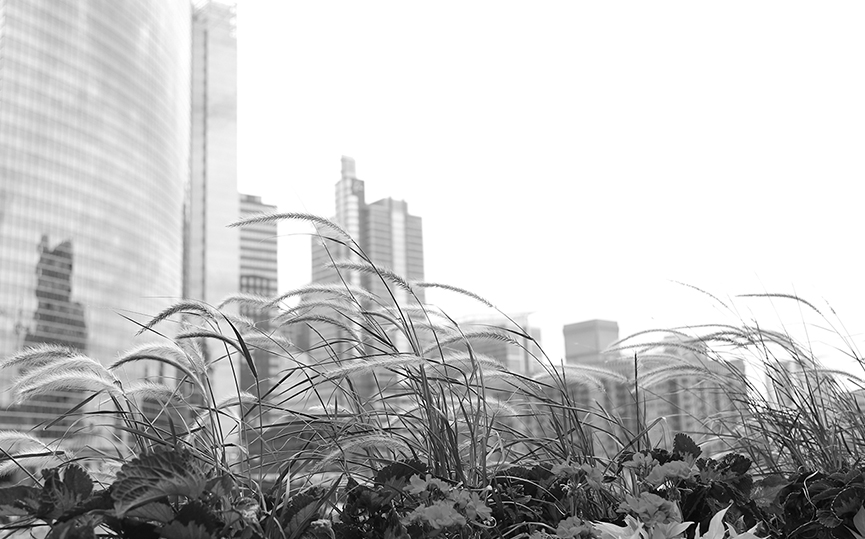 O'Keefe Law Office Evanston, IL Office