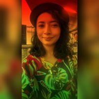 Law Office Of Julie Lewis Hauf, P L Fort Myers,  Office