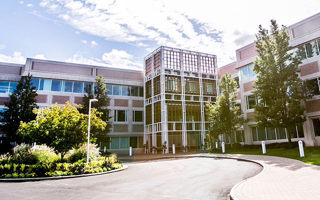 Faber Daeufer & Itrato PC New York City,  Office