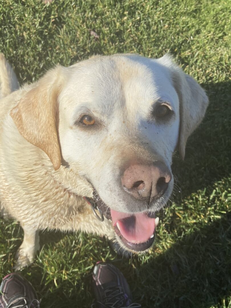 Maura A. Smith Law Offices LLC Knoxville,  Office