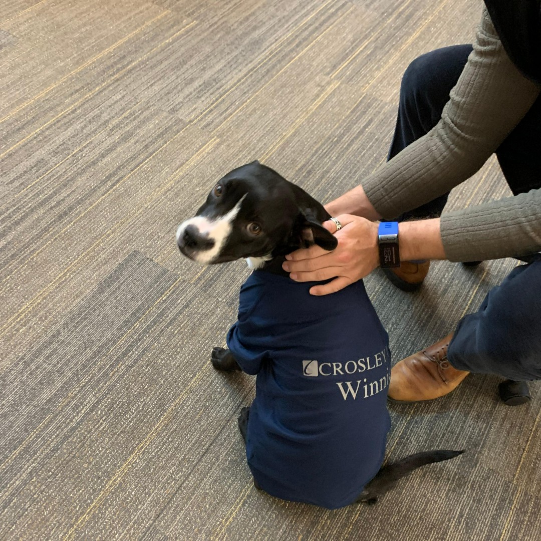 Crosley Law Firm, PC San Antonio, TX Office