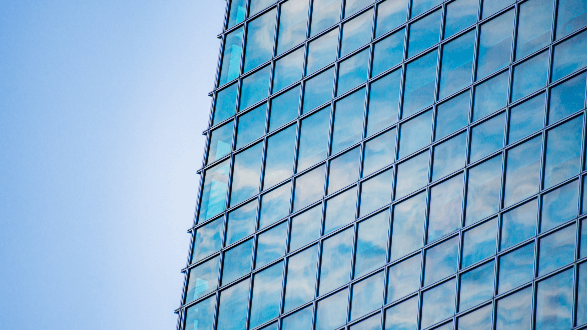 Feldman & Feldman, PC Houston,  Office