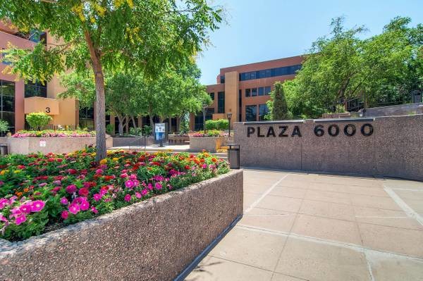 Pelz & Associates, PC Denver, CO Office