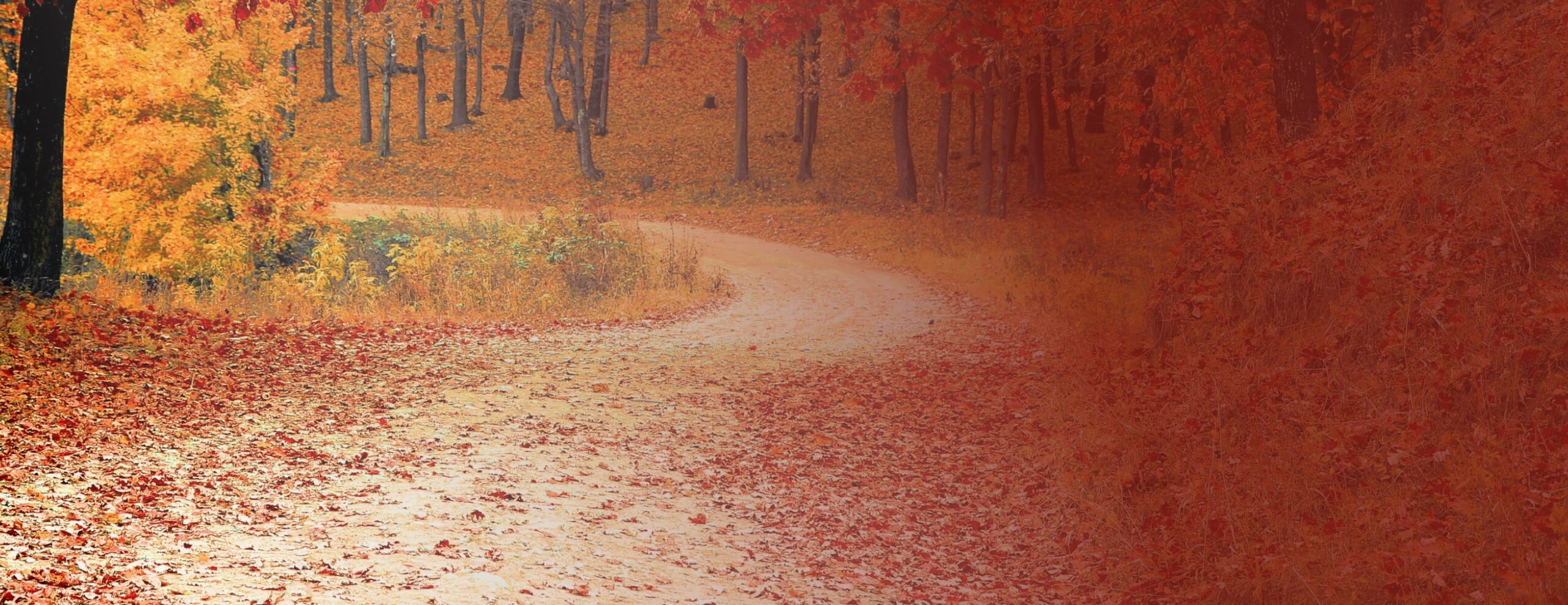 Moore Barlow London, United Kingdom Office