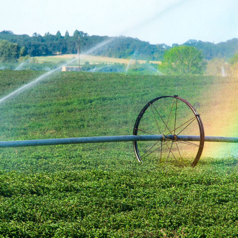 Garcia & Bodan Tegucigalpa, Honduras Office