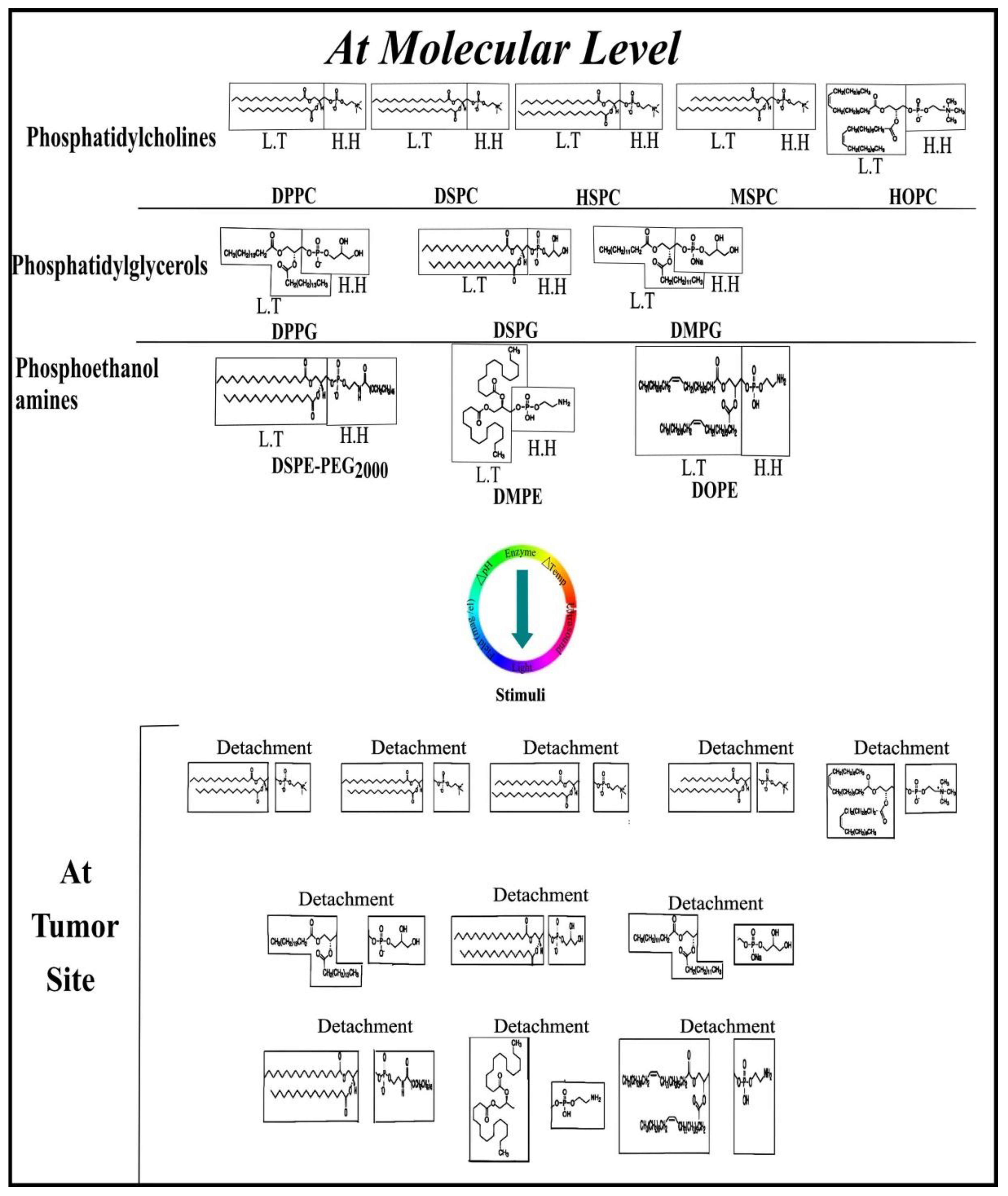 MacRobert Inc Durban, South Africa Office