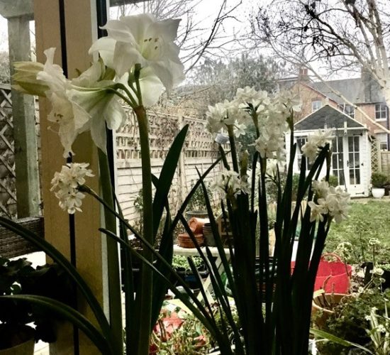 Hine Solicitors Princes Risborough, United Kingdom Office