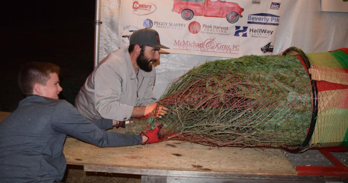 McMichael & Gray, PC Alpharetta, GA Office