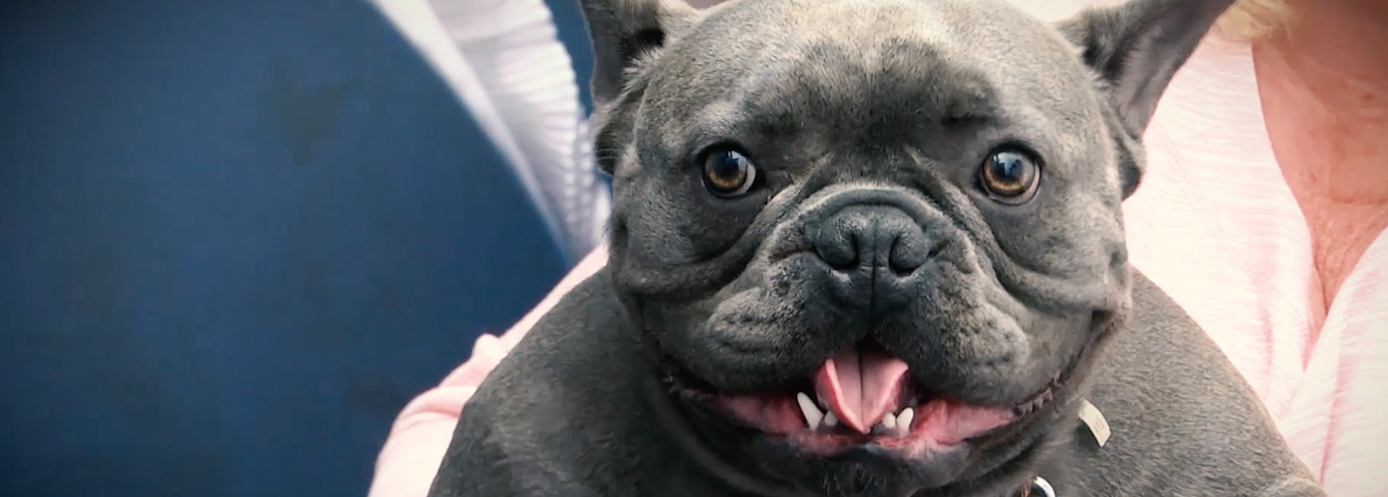 Grand Strand Law Group, LLC Myrtle Beach,  Office