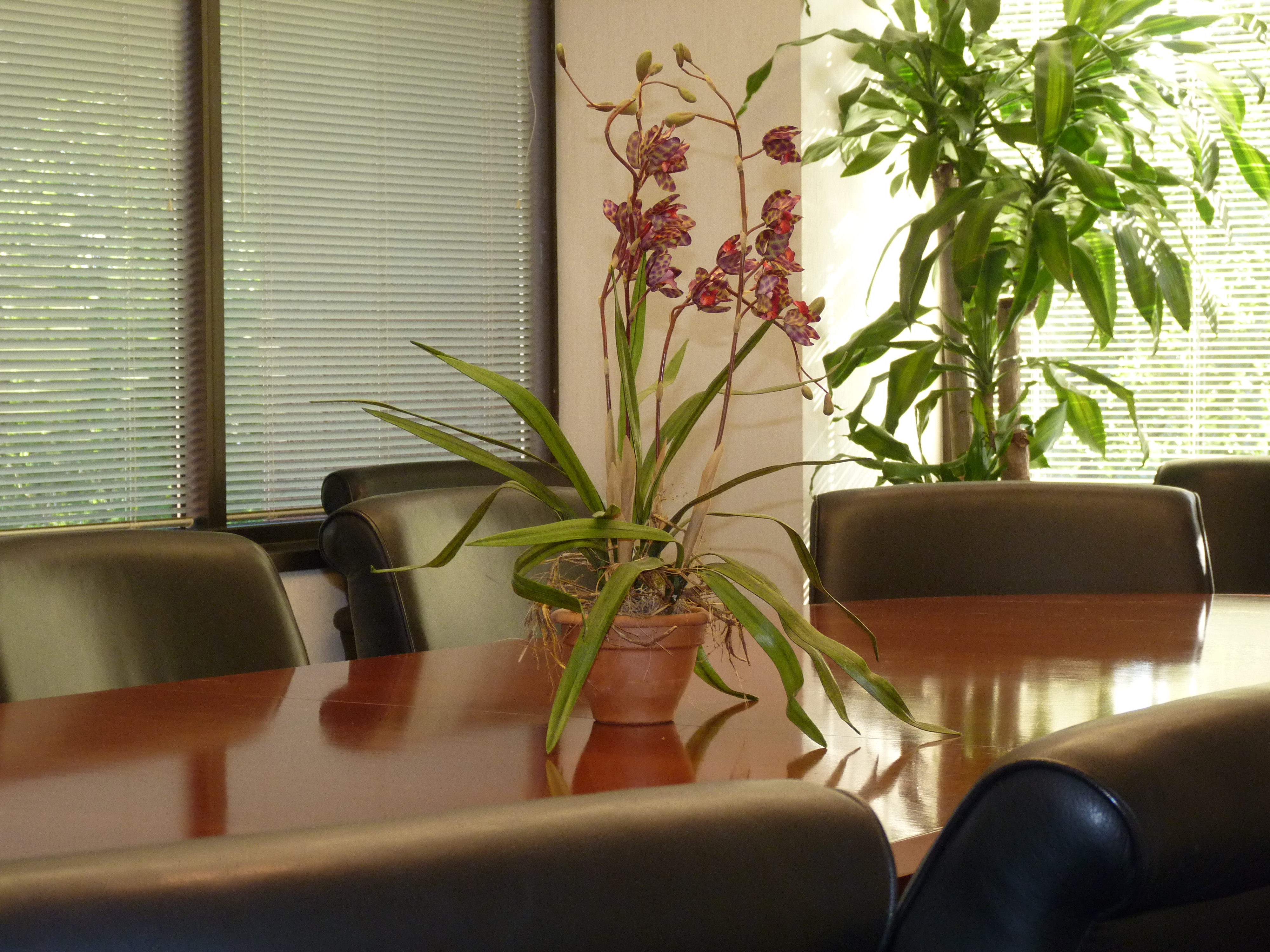 Goldman Davis Krumholz & Dillon, P.C Jersey City, NJ Office