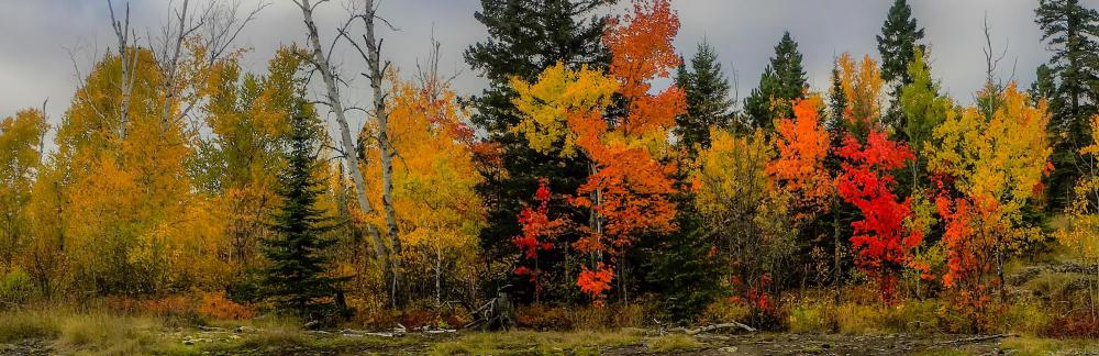 Mathison & Vos, PLLC Grand Marais,  Office