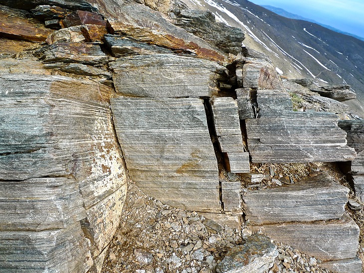 Johnson, Camacho & Singh Trinidad, Colombia Office