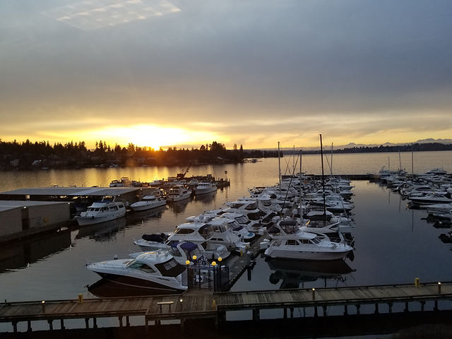 The Bartels Law Firm, PLLC Kirkland,  Office