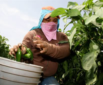 Weinberg, Roger & Rosenfeld, A Professional Corporation Los Angeles, CA Office