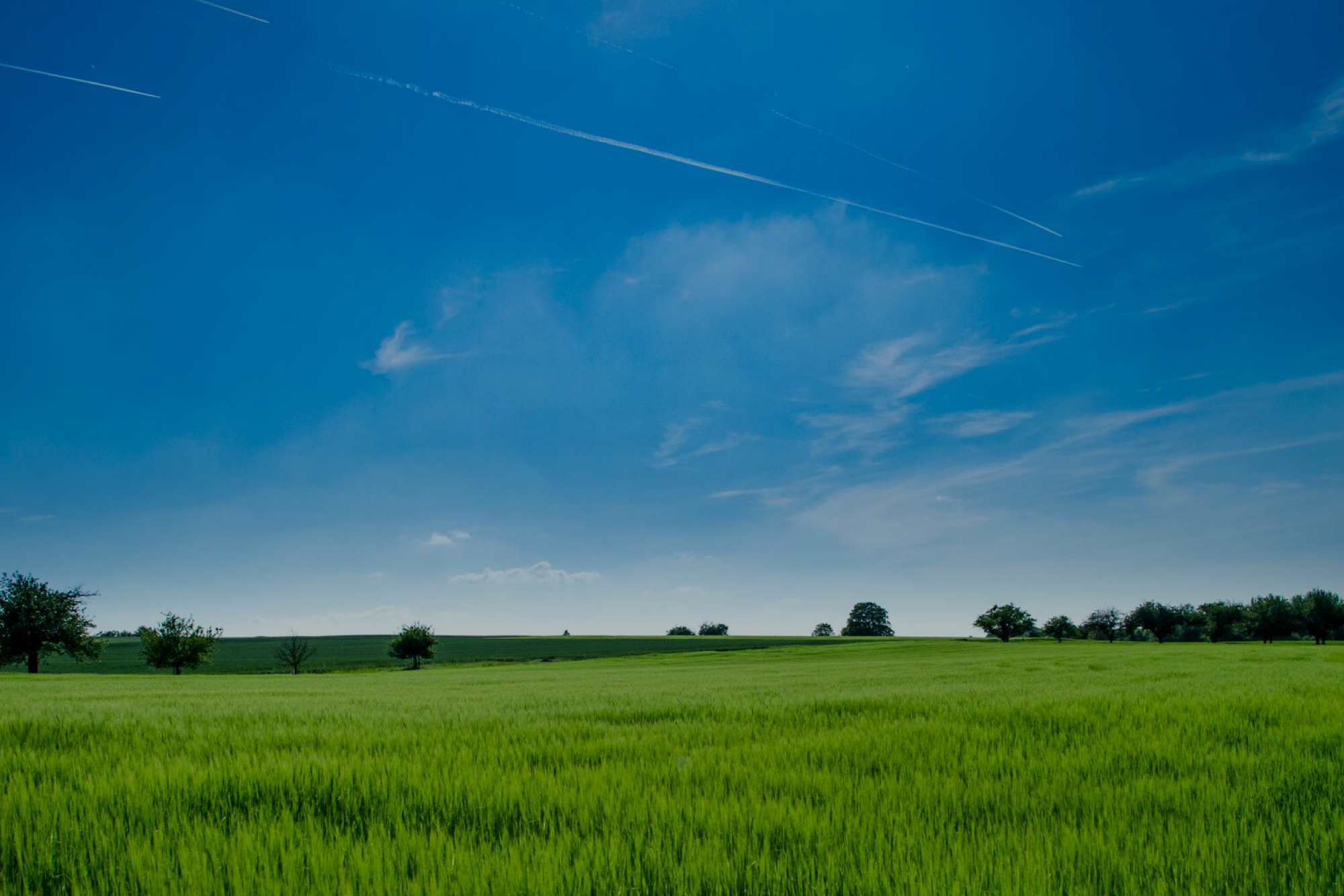 Vial Fotheringham LLP Lake Oswego, OR Office