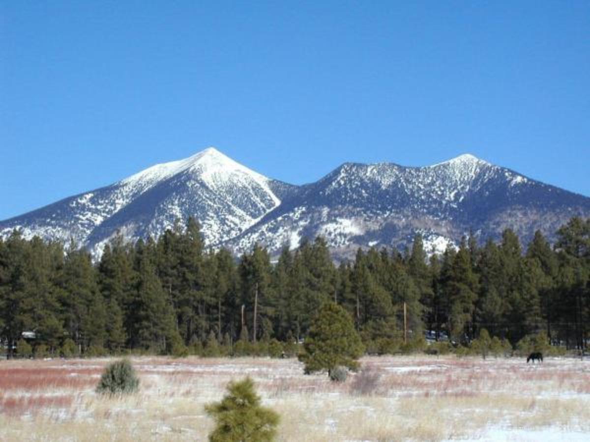 The Shanker Law Firm, PLC Flagstaff, AZ Office