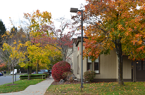 Carmody Torrance Sandak & Hennessey LLP Waterbury, CT Office