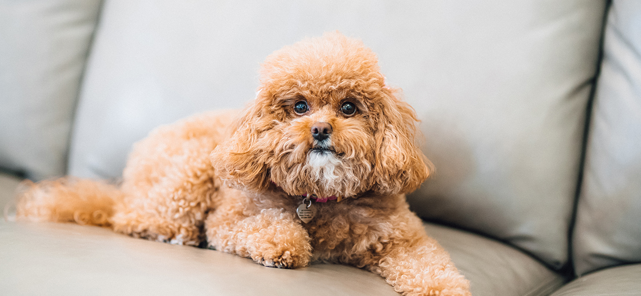 Gordon McKernan Zachary, LA Office